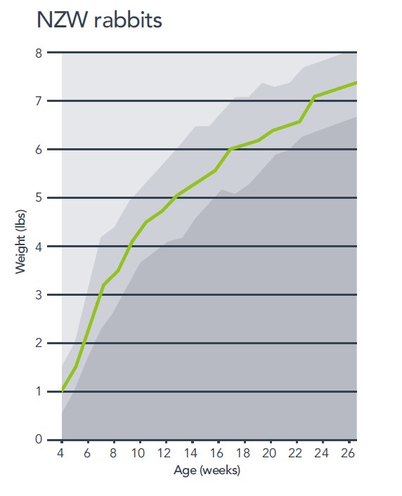 hra-nzw-spf-weight-chart