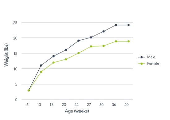 hre-beagle-growth-curve