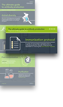 02_Infographic_Polyclonal_Antibody_Highlight.jpg