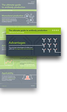 03_antibody_infographic_hybridoma_technological_highlight.jpg.